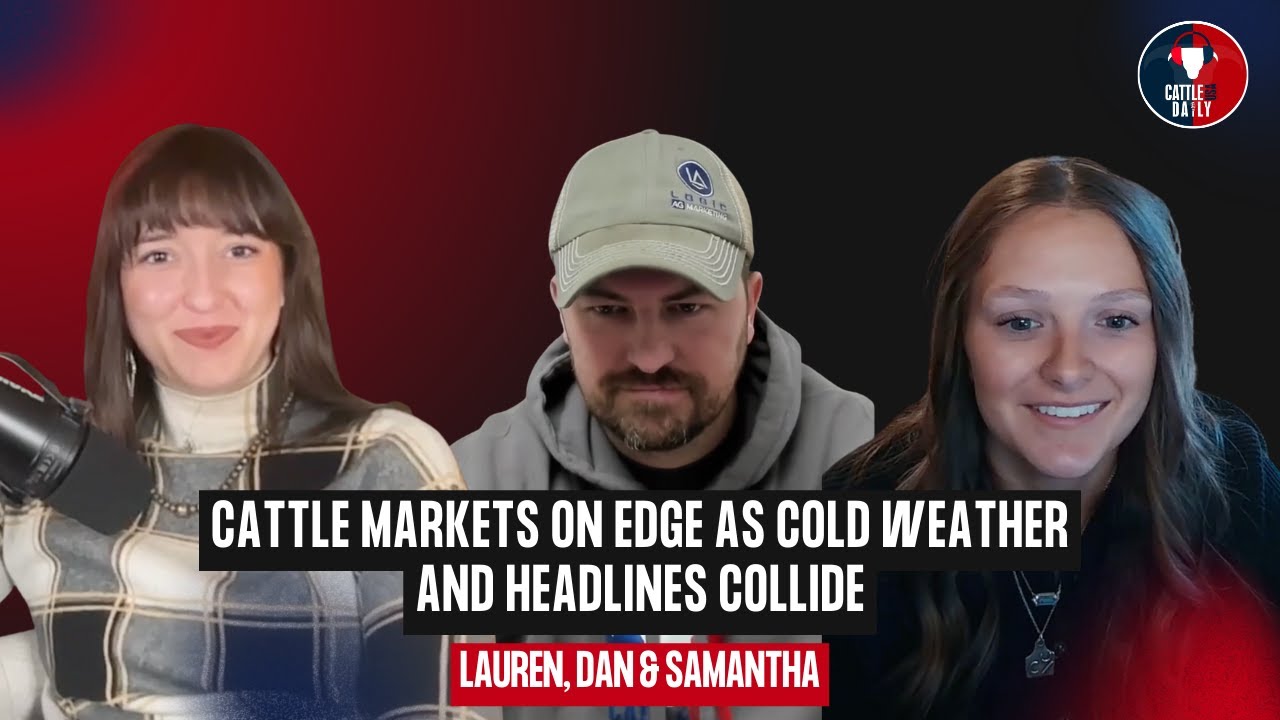 248: Cattle Markets on Edge as Cold Weather and Headlines Collide with Dan and Samantha
