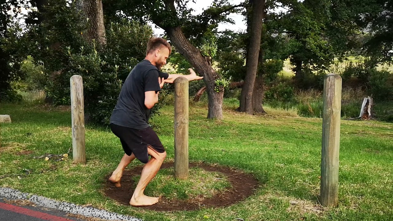 baguazhang around a pole