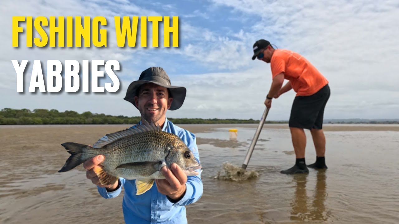 Fishing Ballina with Yabbies