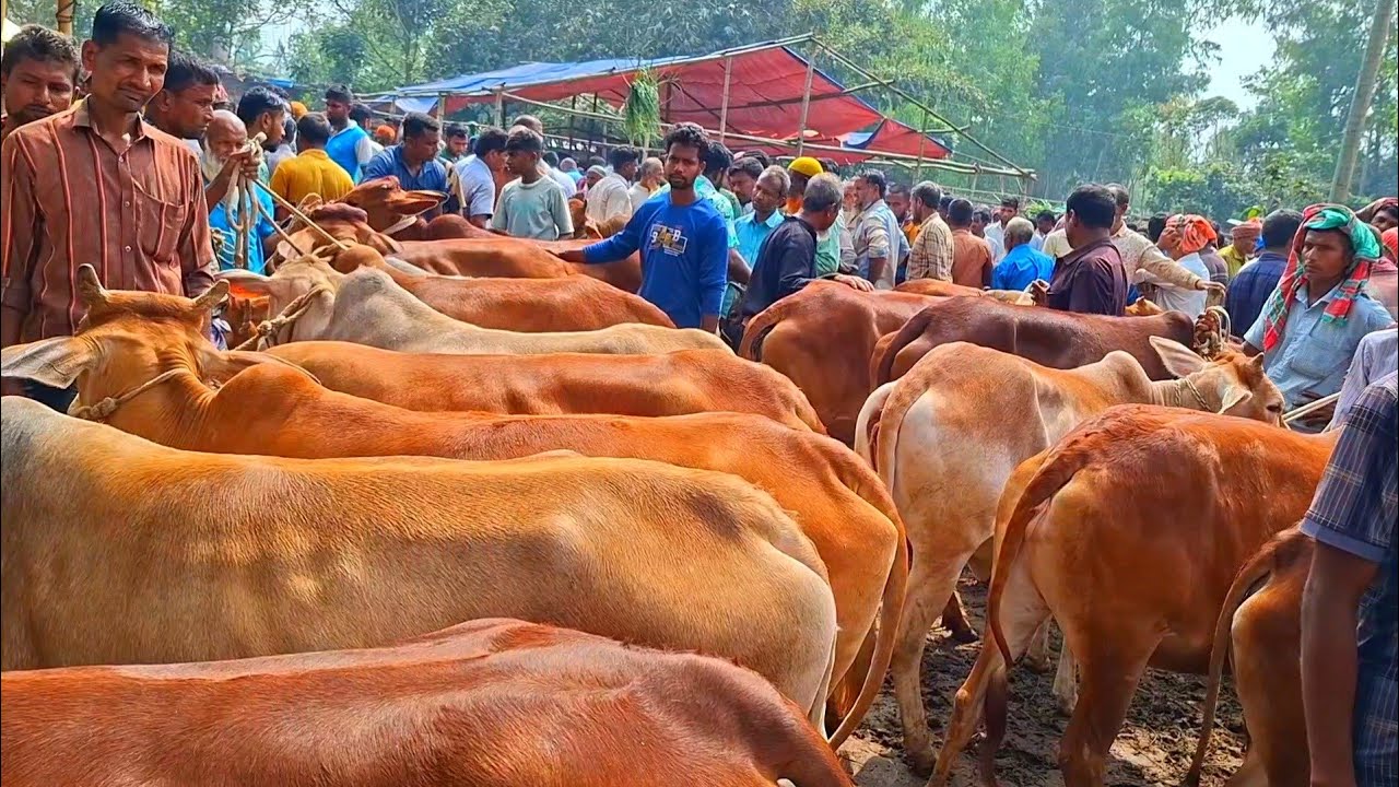 @আজ ১৪ মার্চ