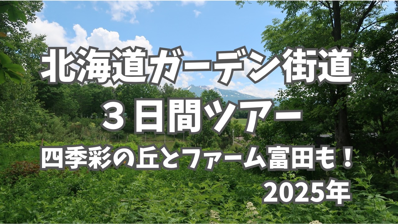 北海道ガーデン街道３日間ツアー  2025年　四季彩の丘とファーム富田も！