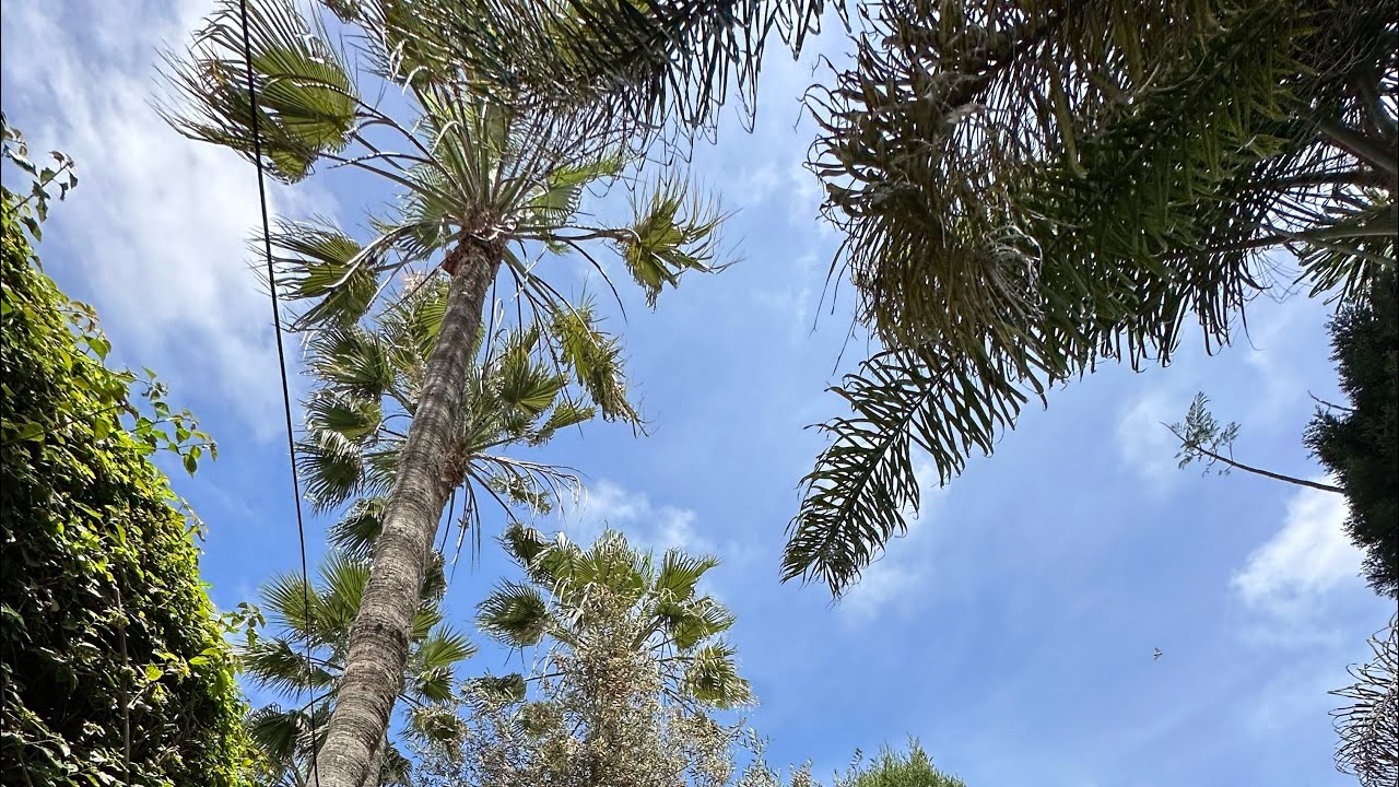 أول رحلة زيارة للمملكه المغرب رحلة استكشافية 1 مايو، 2023