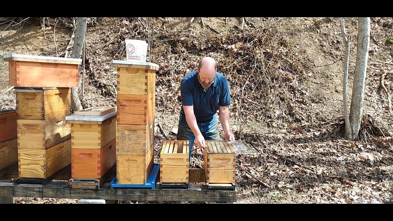 Demaree Redo. More Clear Instructions. And How The Bees Are Being Manipulated.