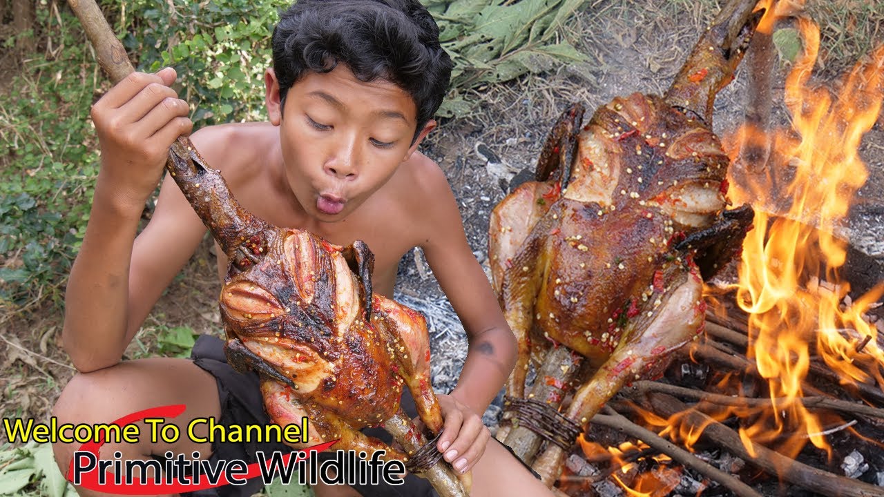 Primitive Wildlife - Cooking big chicken in the rainforest - Eating delicious (Ep00121 )