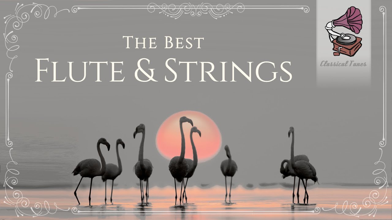 The Best Flute & Strings | Italian Baroque Emotional Music