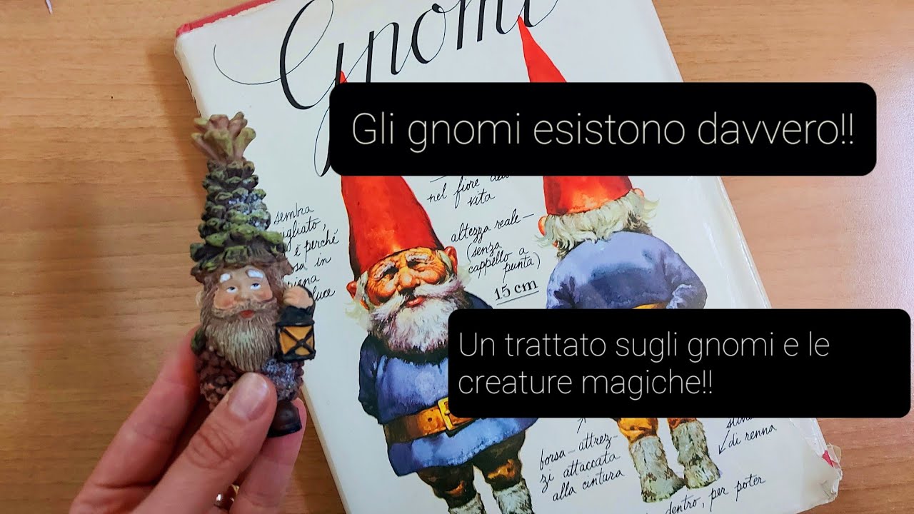 IL MONDO FATATO DEGLI GNOMI | biblioteca d'artista