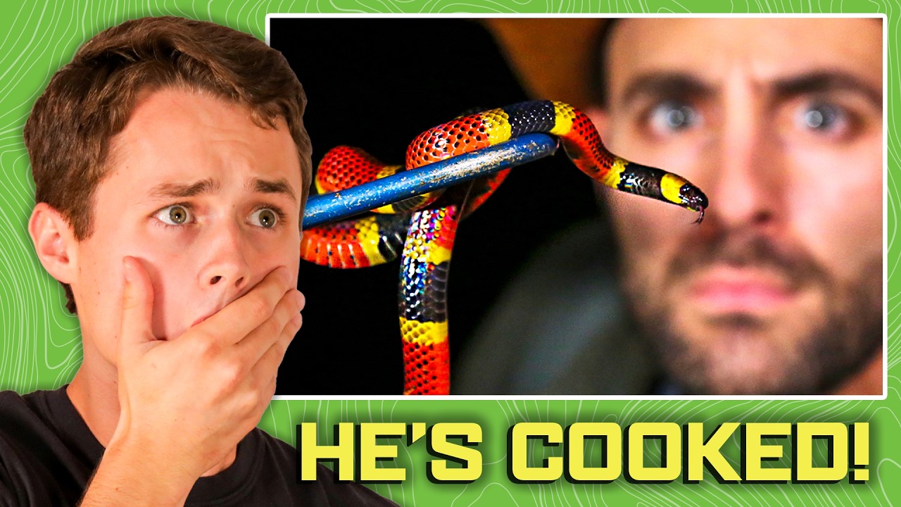 Nighttime Jungle Adventure Gone Wild!