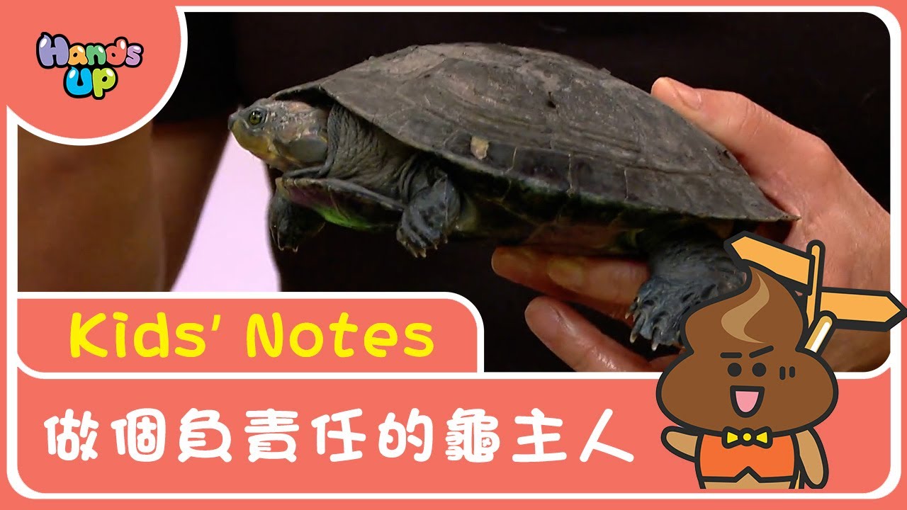 做個負責任的龜主人｜Kids’ Notes｜Hands Up