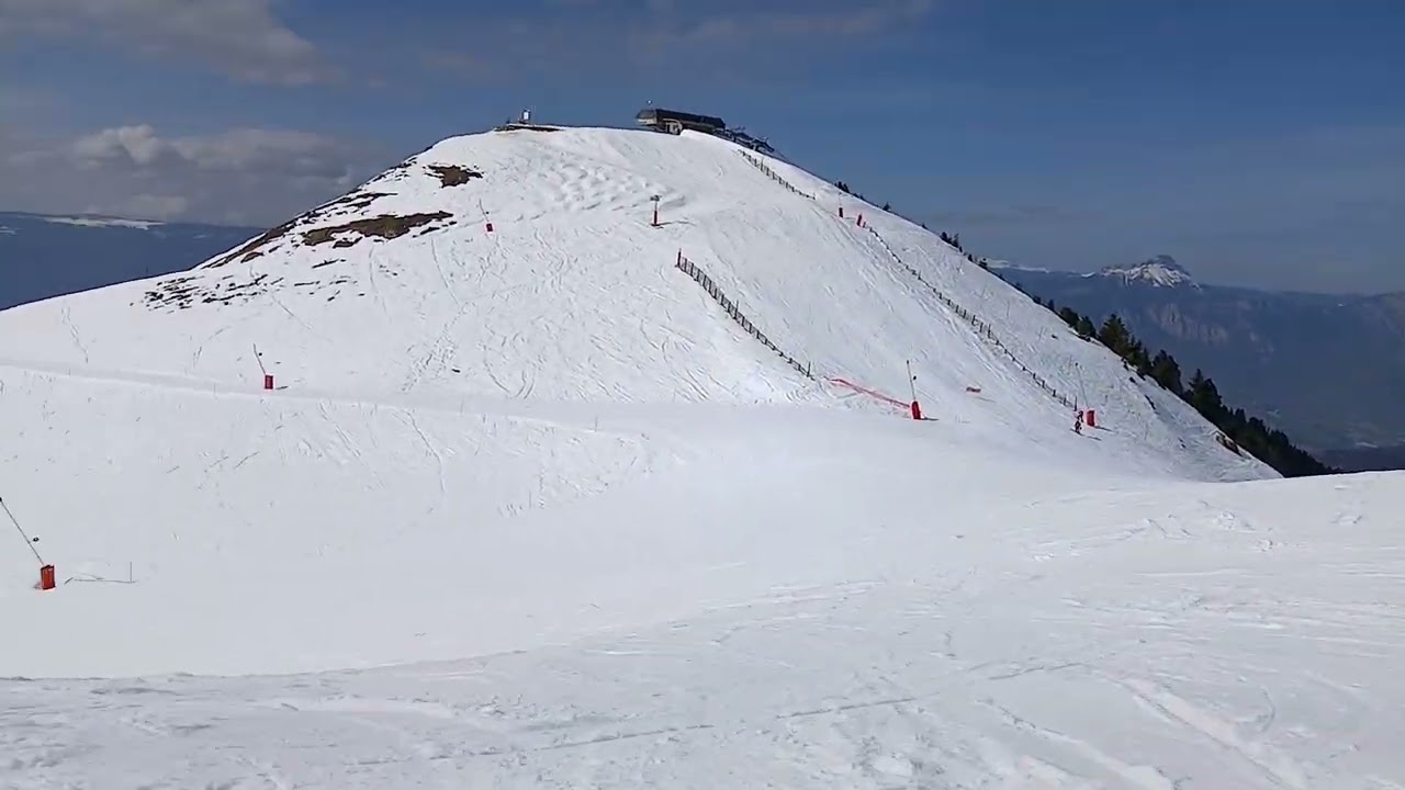 TREE GOBLIN  chamrousse 