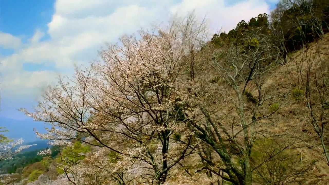 ՓՈՔՐԻԿ ԱՍՏՂԻԿՆԵՐ  POQRIK ASTXIKNER