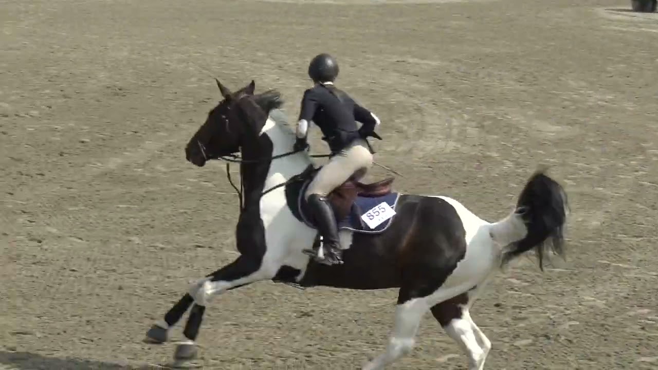 Jump off - 5yo jumpers - Up Love LS