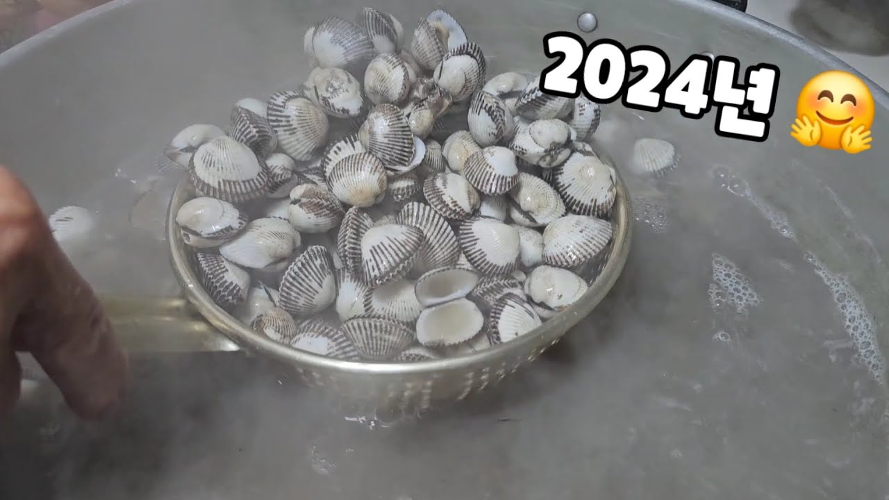 2024년 한해동안 저희 고부사이 평범한 일상을 시청해주시는데 귀한 시간을 사용해주셔서 너무나 감사드려용 진심 고맙게 생각하고 있습니다 😍