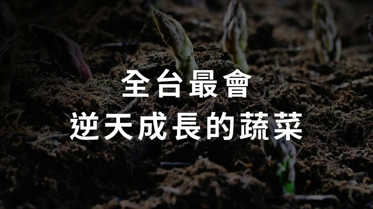 2020 數位奇點獎金獎作品-全聯挺農