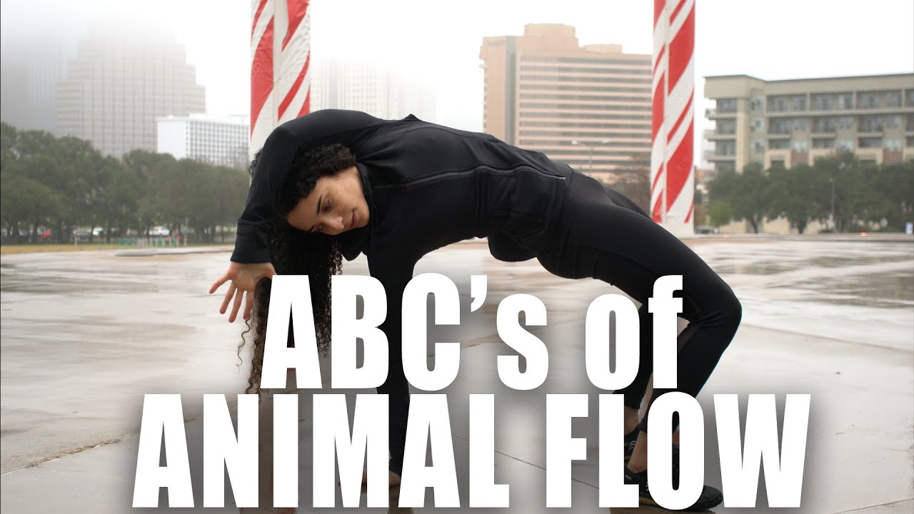 ABC’s of ANIMAL FLOW for beginners | FrancheskaFit