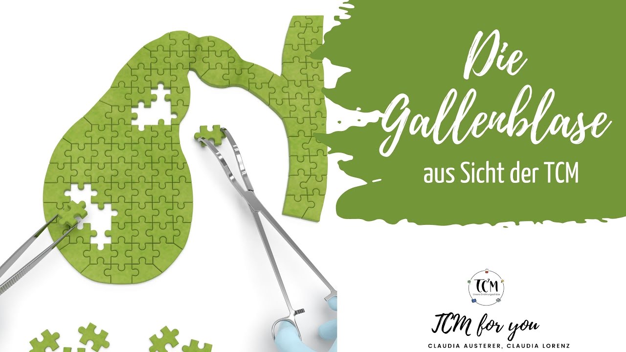 Die Gallenblase aus Sicht der TCM