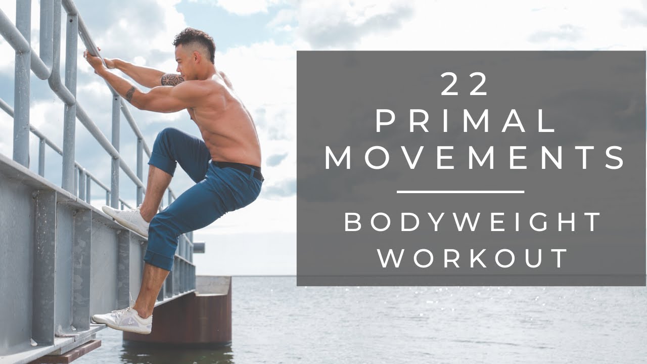 22 Primal Movements | Mobility & Flow Workout (follow along)