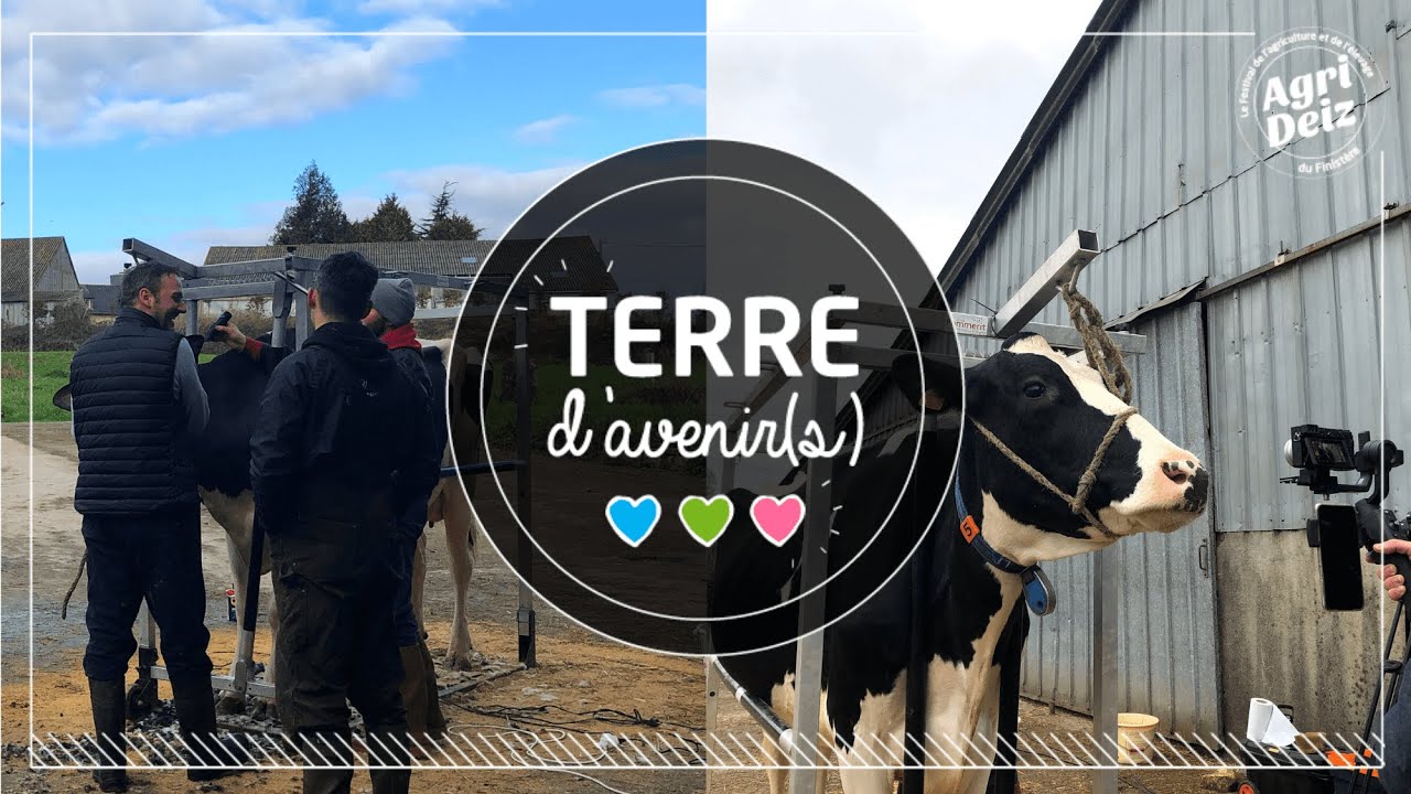 Terre d'avenir(s) | Épisode 8 - Ferme de Kreisker - Journée Clippage