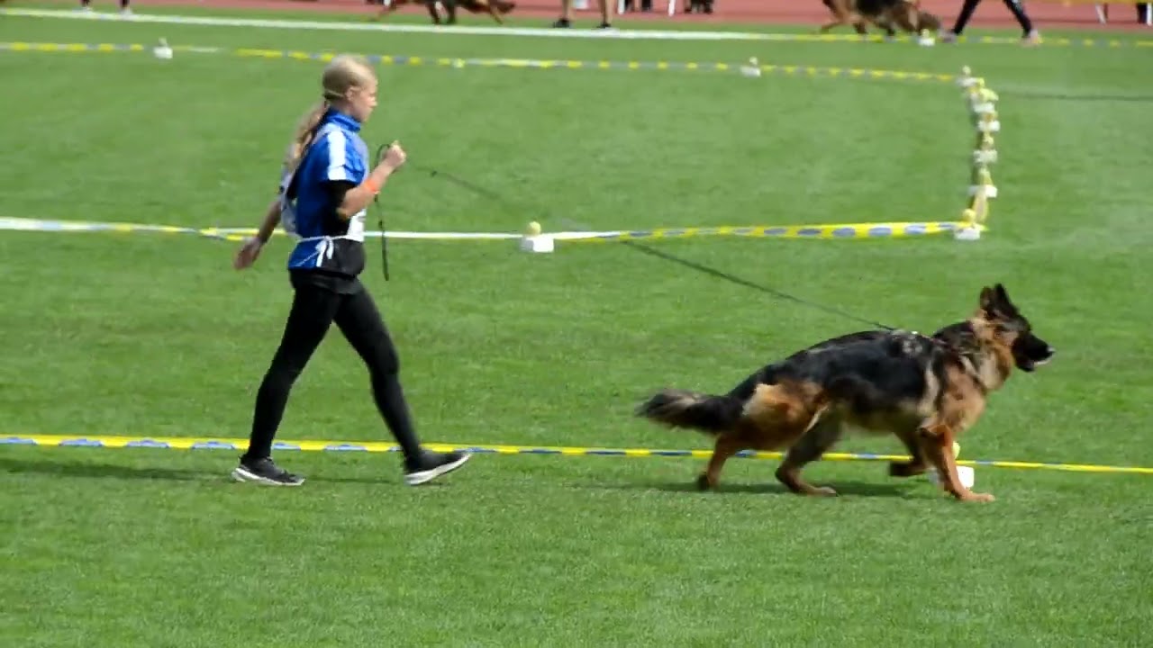 Nuremberg 2025 - Concurs international canin Razvan Nita -Pascani Romania