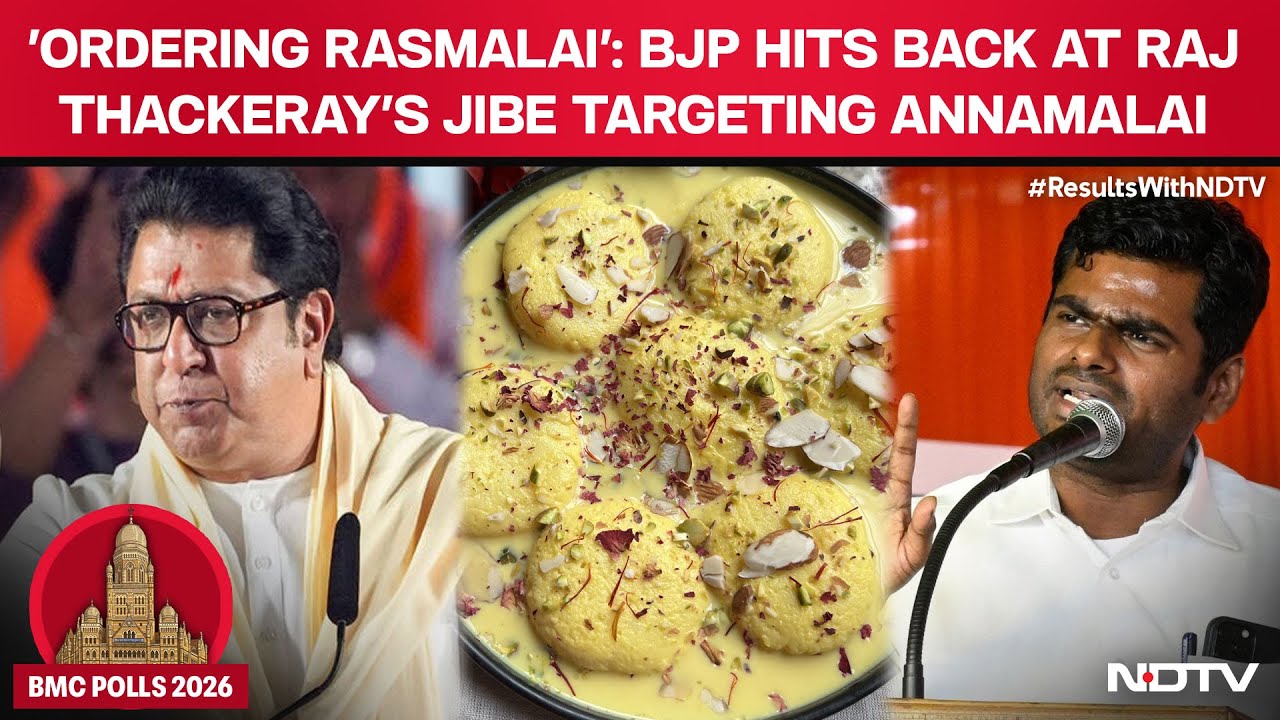 'Ordering Rasmalai': BJP Hits Back at Raj Thackeray's Jibe Targeting Annamalai