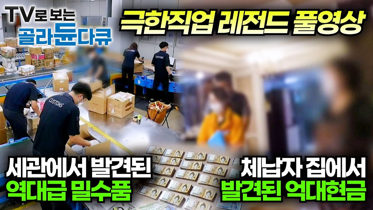 ✨극한직업 레전드 편💵세금 체납과 밀수와의 전쟁┃세관으로 들어오는 불법 밀수 물품들┃돈 없다면서 집에서 현금다발이 발견되는 악질 체납자들┃극한직업┃#골라듄다큐