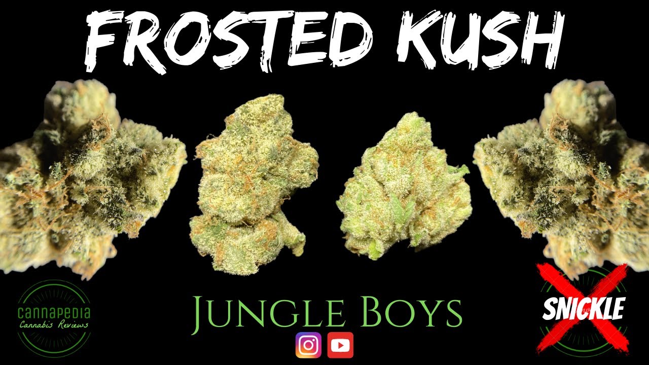 Frosted Kush Strain Review - Jungle Boys - Cannapedia