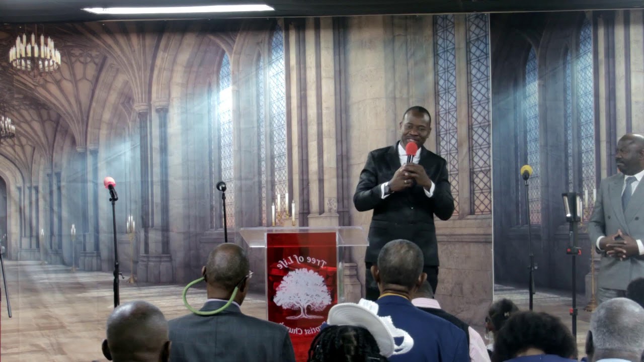 Tree Of Life Baptist Church Live Stream
