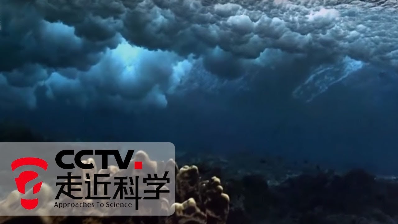 《走近科学》 让海水变“甜”（上）：海水的淡化技术 20181222 | CCTV走近科学官方频道