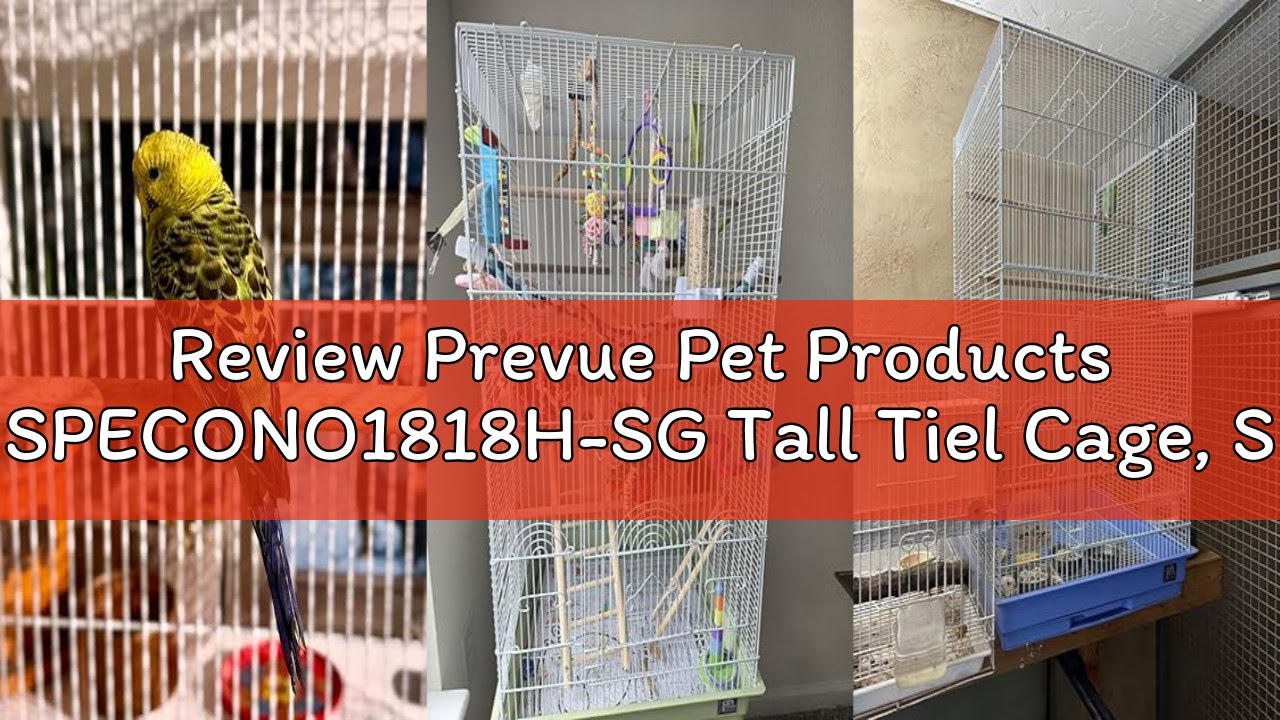 Review Prevue Pet Products SPECONO1818H-SG Tall Tiel Cage, Sage Green
