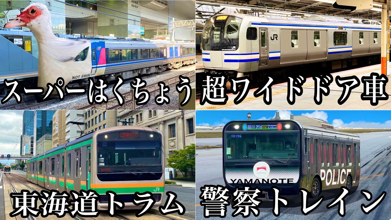 【総まとめ】これはやばい⁉︎ 変態アホ電たちをみていこう
