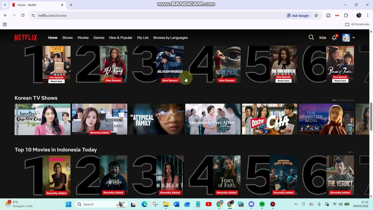 How to Stream Netflix to Discord Without Black Screen