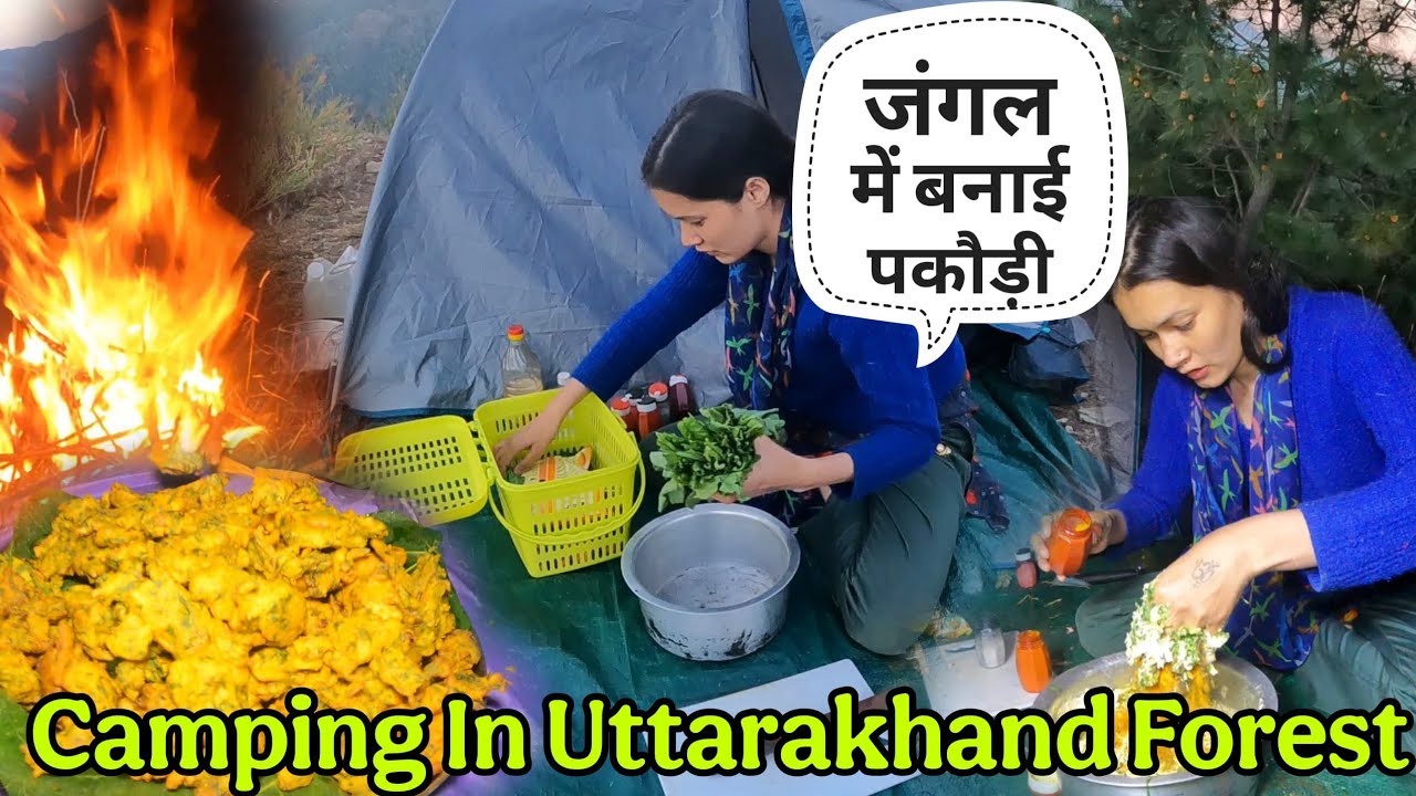 Camping || Camping In Uttrakhand Forest || Kavita Goswami