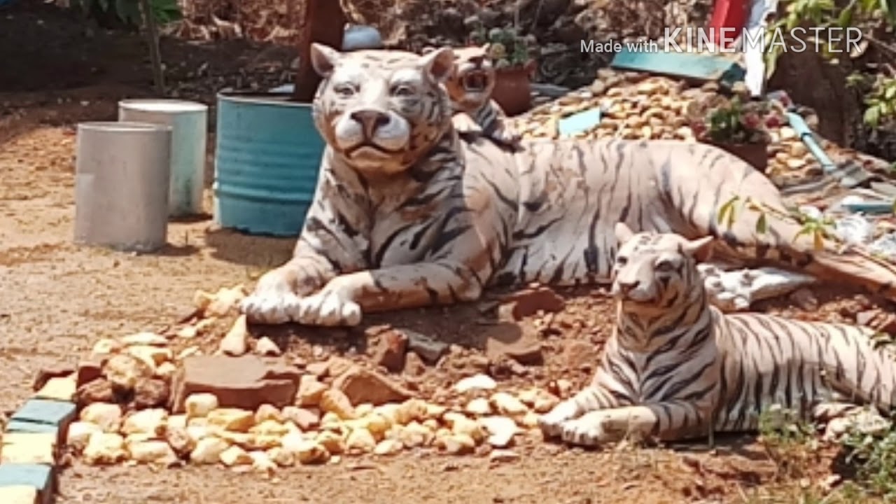 Natural Beauty of Odisha@....