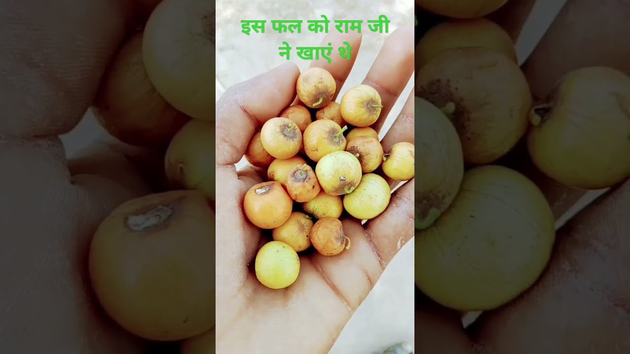 is fal ka nam kya he🥰🥰😋😋