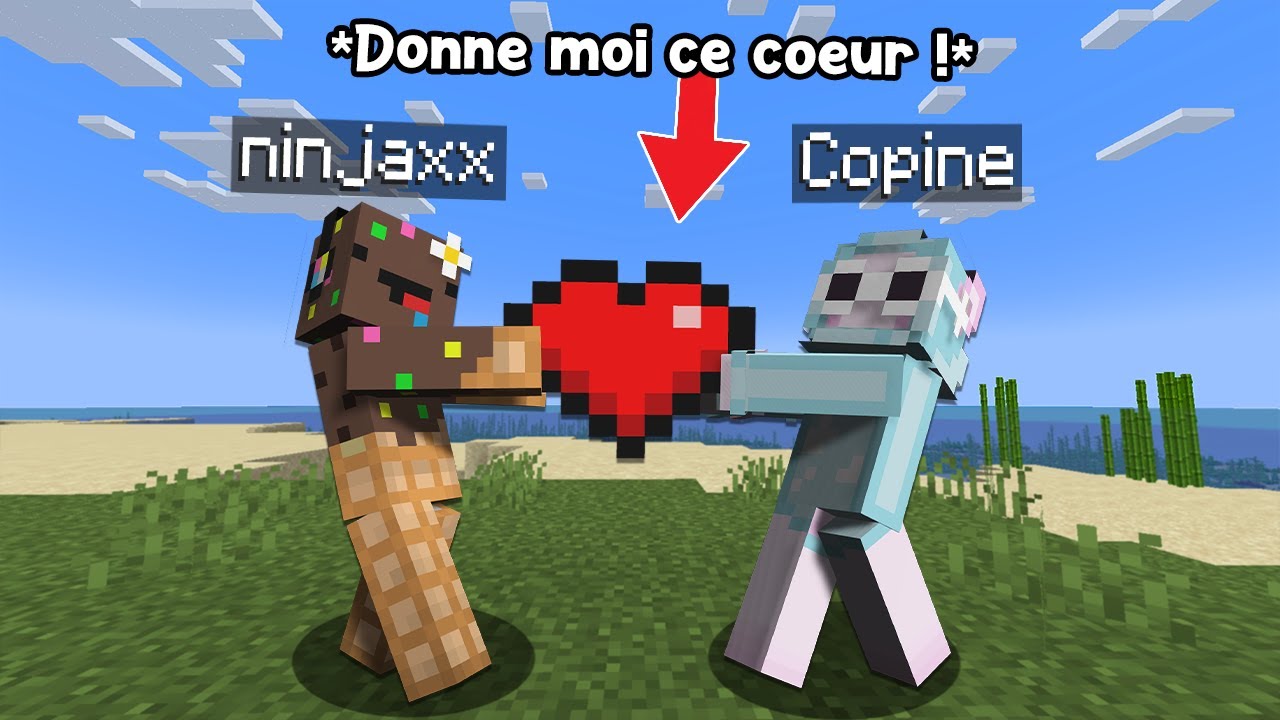 On doit finir Minecraft mais on Partage notre Vie..