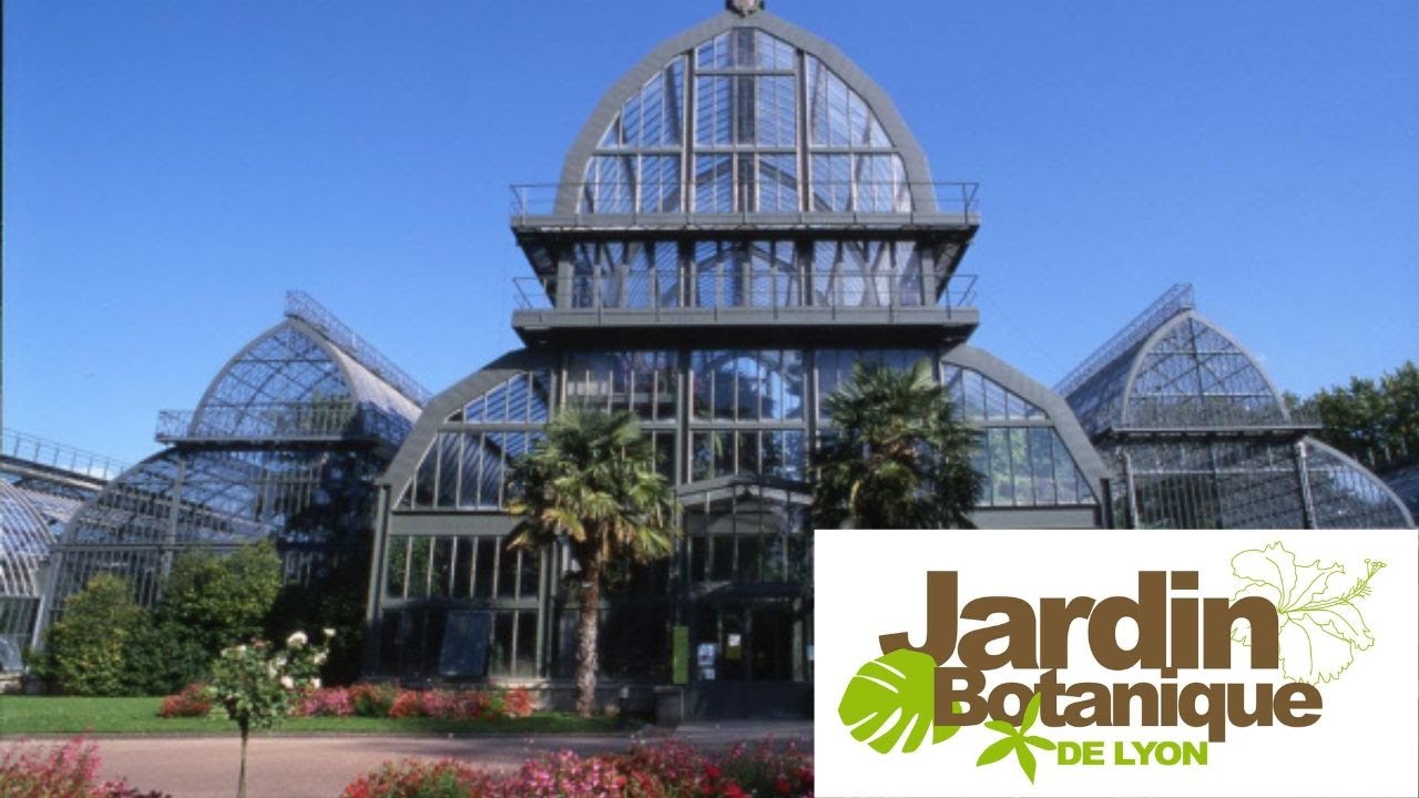 Le piante carnivore del giardino botanico di Lione
