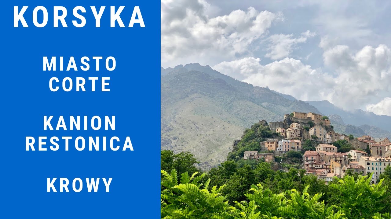 G&oacute;ry Korsyki - Corte i kanion Restonica - krowy - Lazurowy Przewodnik