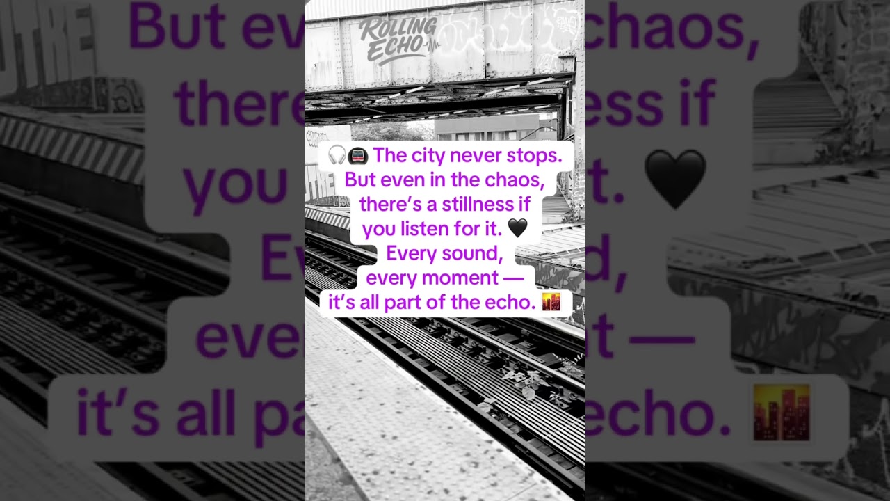 The city never stops