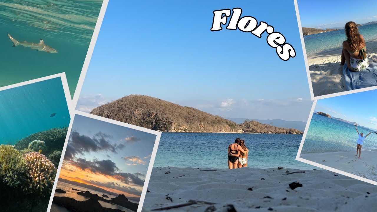 SWIMMING WITH A BABY SHARK!| Exploring Flores with new friends, moped riding & snorkelling🤿