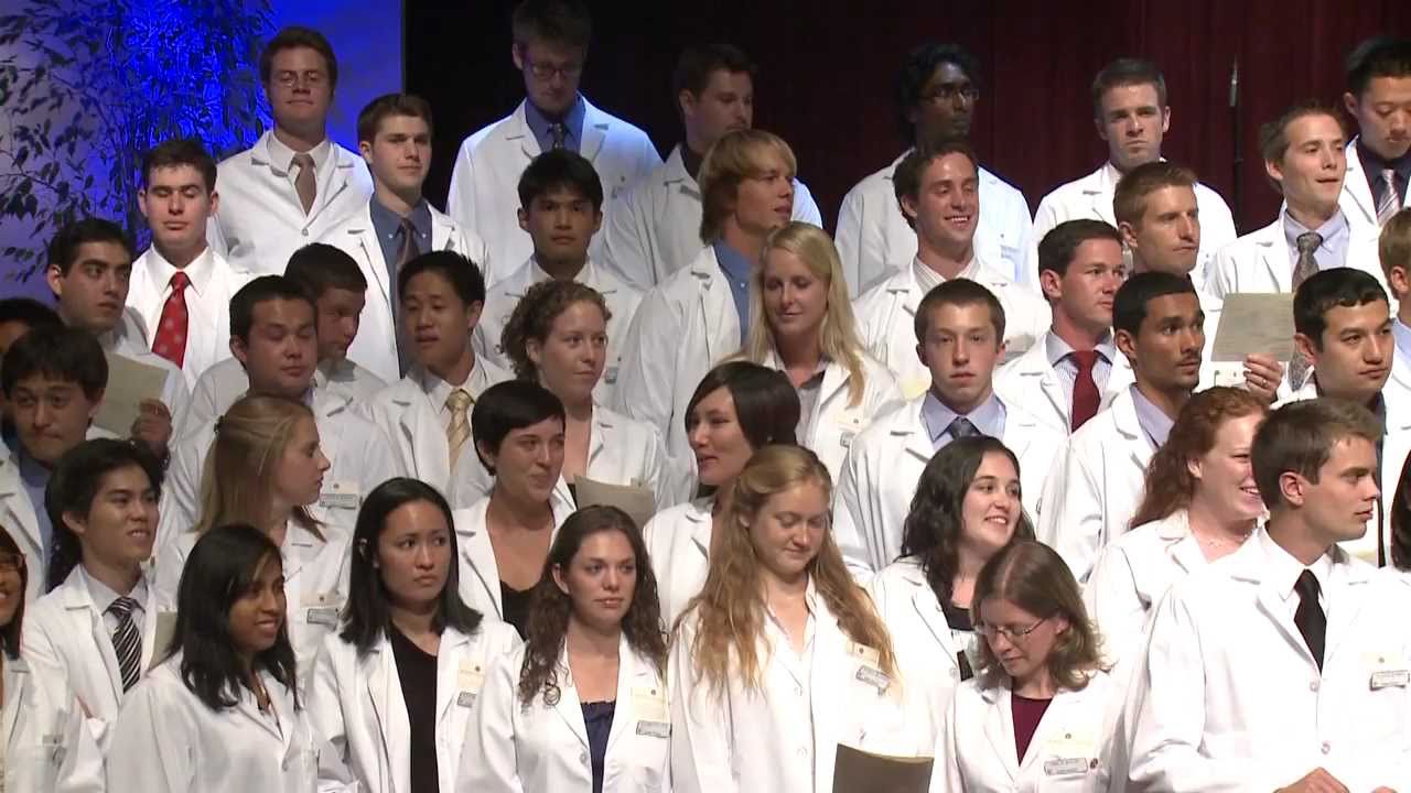 The Four Years of Medical School