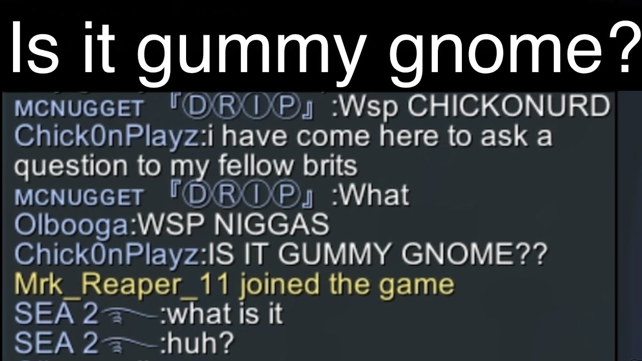 2024 07 14 16:43 Is it gummy gnome? | Hide.io Chat