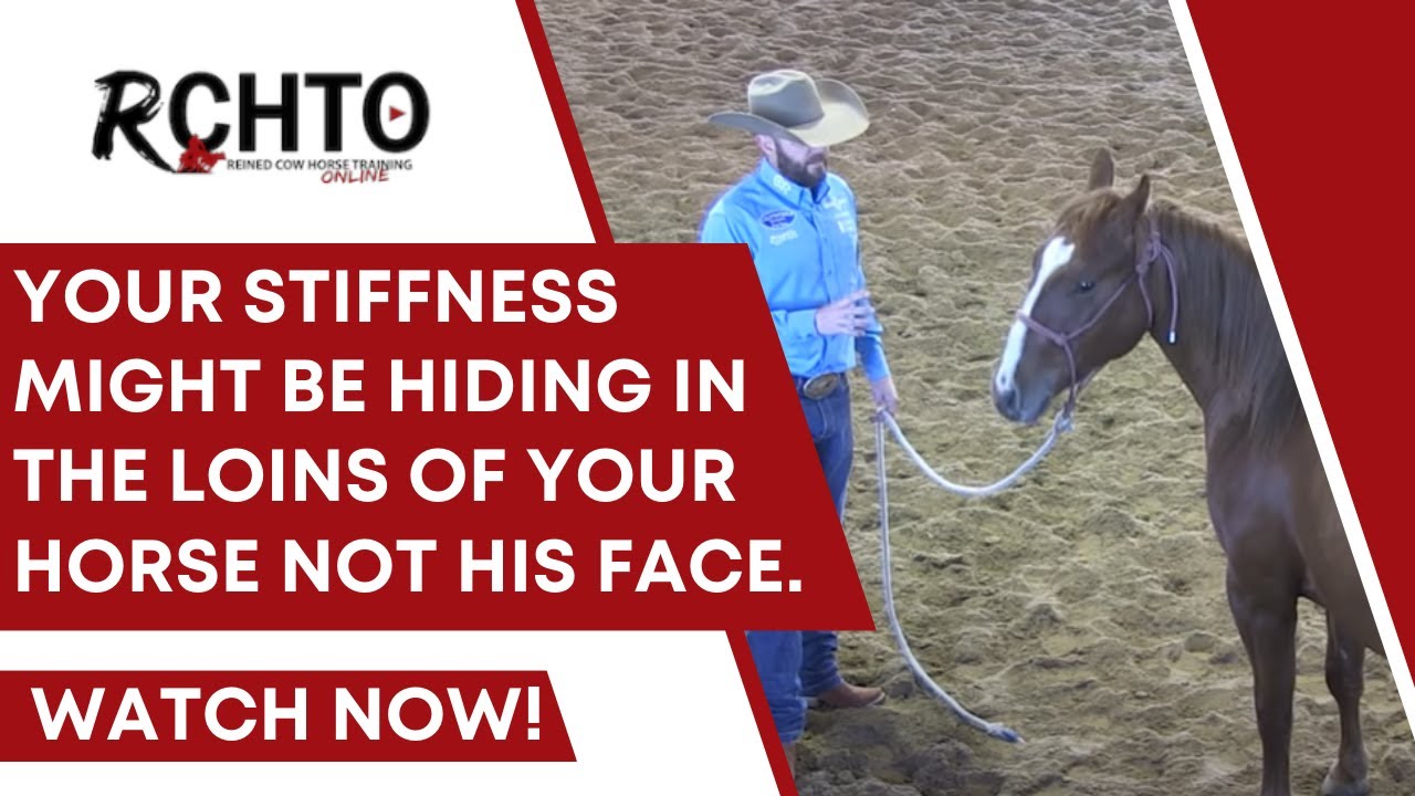 Your Stiffness Might Be Hiding In The Loins Of Your Horse Not  His Face.