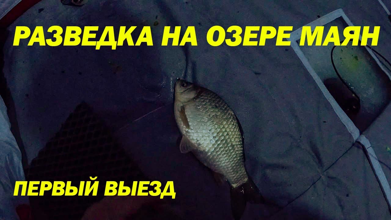 Потратил кучу времени ради 3 карасей? Честный отчет