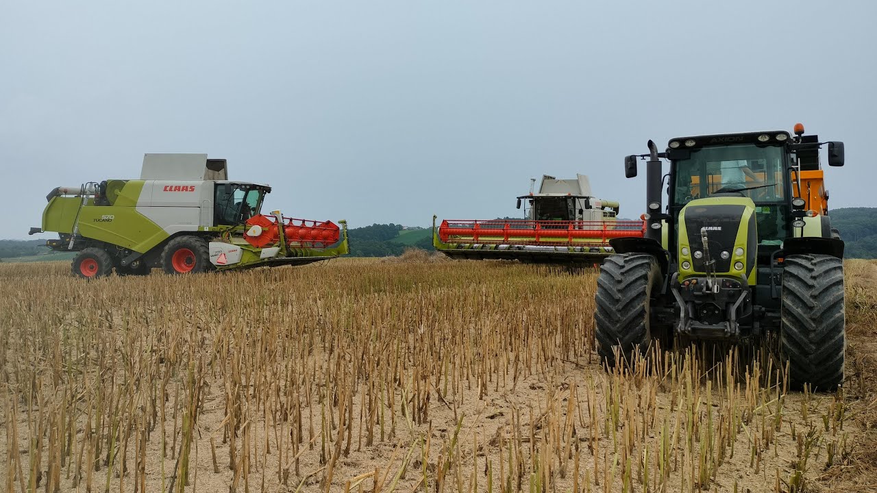 ✩ 🇨🇿 ŽNĚ 2024 na 2 kombajny ✩ Claas Tucano 570 a Lexion 750 ✩ Claas Axion ✩ New Holland T7 ✩ Wielton