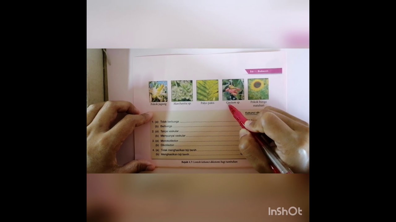 SAINS TINGKATAN 2 BAB 1 (1.2 Membina Kekunci Dikotomi)