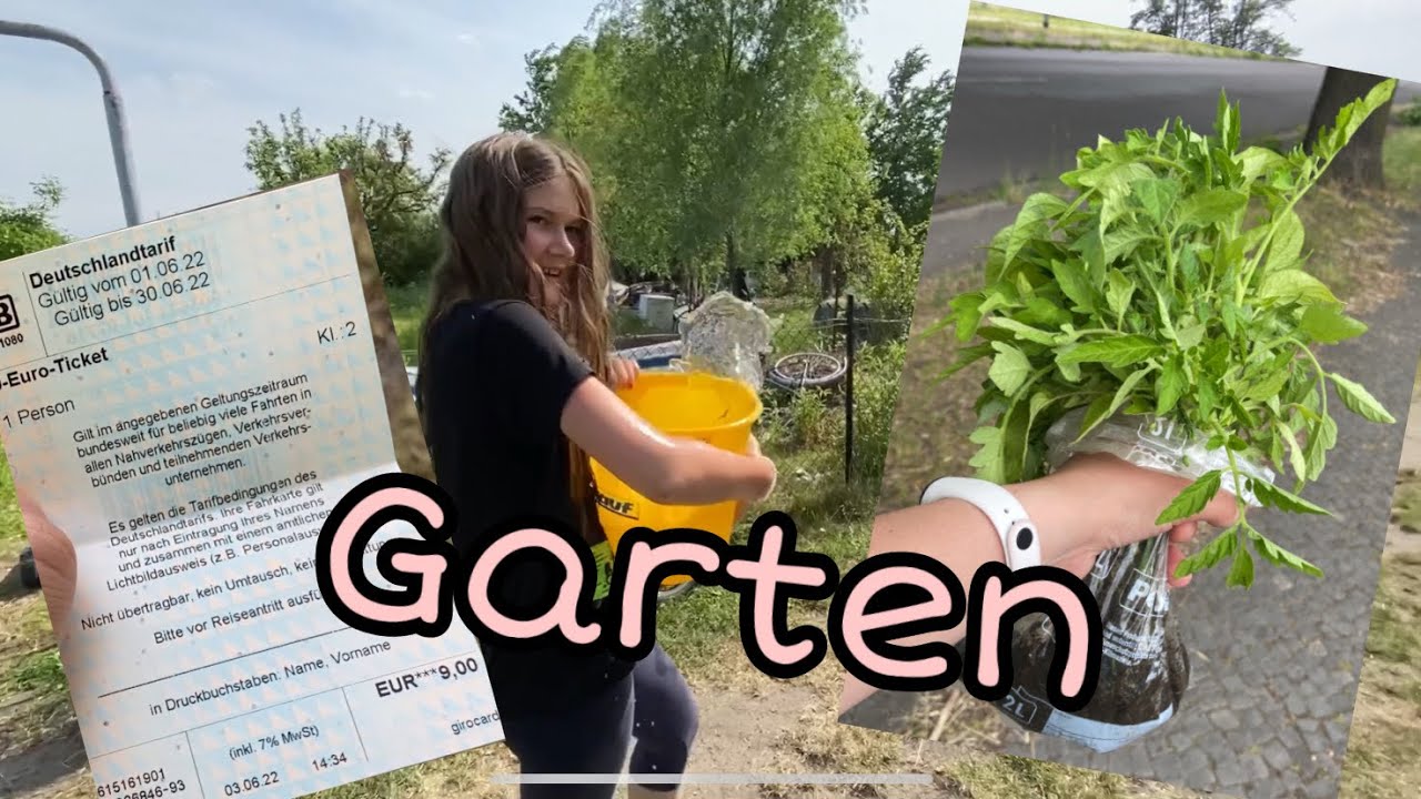 Kurzer Vlog aus dem Garten 🪴