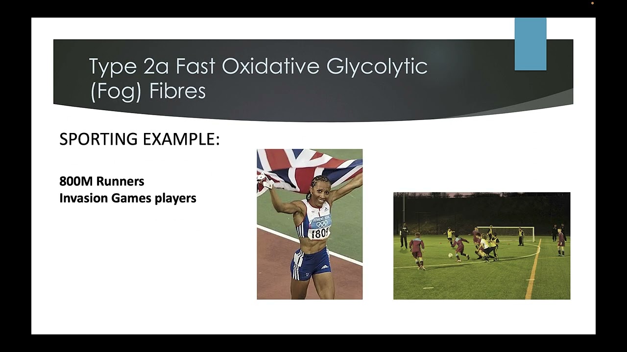 Cambridge Technical Level 3 - Sport - The Neuromuscular System
