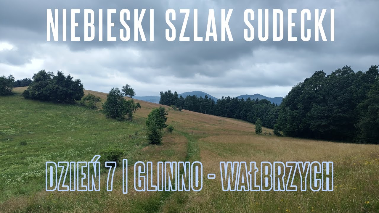NSS #7: mnóstwo przemyśleń i zagubiony pies