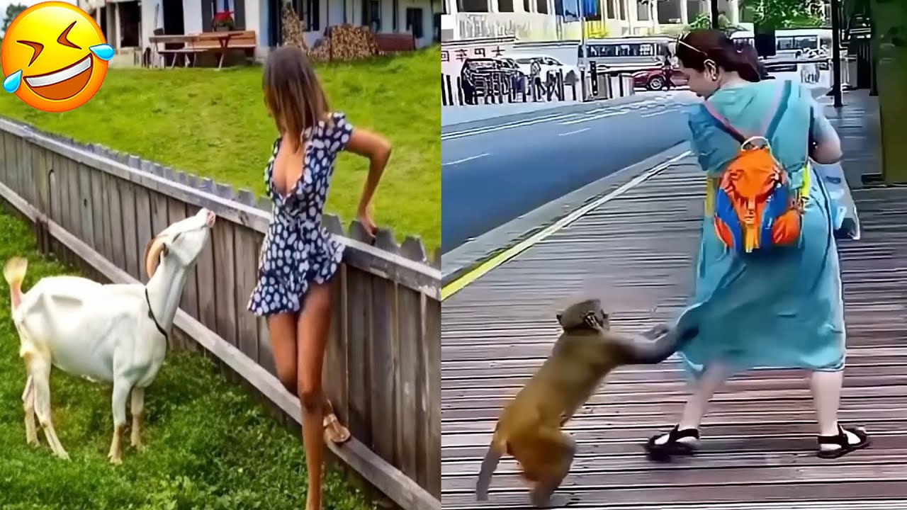 BEST OF THE WEEK! Try Not To Laugh Challenge Compilation | Epic Fails & Hilarious Moments