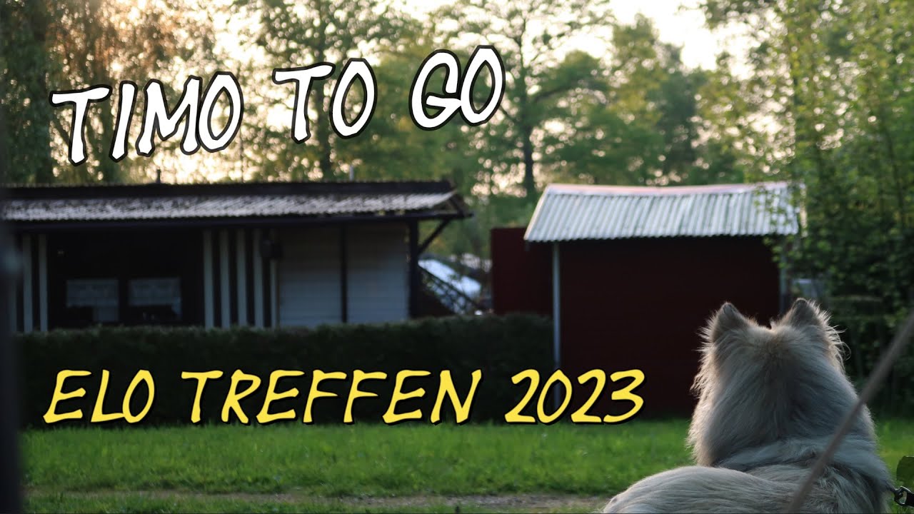 ELO Treffen 2023 - natürlich mit Zelda_the_elo