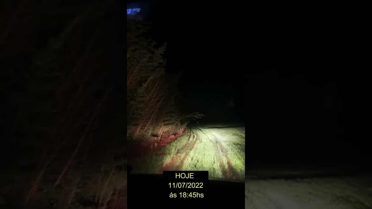 Estamos perdidos no local assombrado